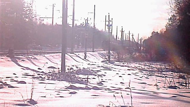 Электропоезд ЭД4М 0237 Электрогорск, перегон Фрязево, Павловский посад смотреть онлайн