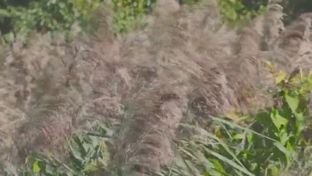 Учим легко и быстро английский для начинающих - Урок 4 (вторая часть) смотреть онлайн