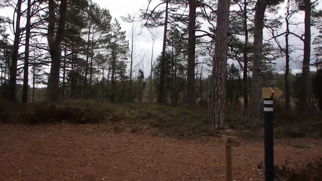 THE BEGINNING // Hiking Through Estonia vlog #1.1 смотреть онлайн