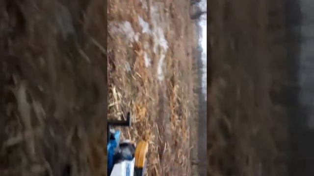 Покатушки на мотоблоке Нева.Часть 1 смотреть онлайн