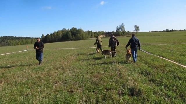 Можайская Охотничья выставка смотреть онлайн