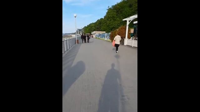 Калининград область Светлогорск море🌊 смотреть онлайн