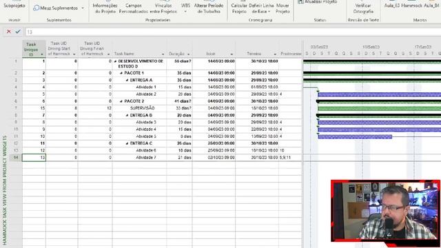 Hammock no MS Project e Oracle Primavera P6. смотреть онлайн