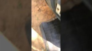 Установка противотуманных фар (птф) на Газель