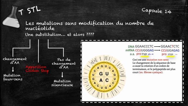 capsule n°14 : les mutations V2 смотреть онлайн