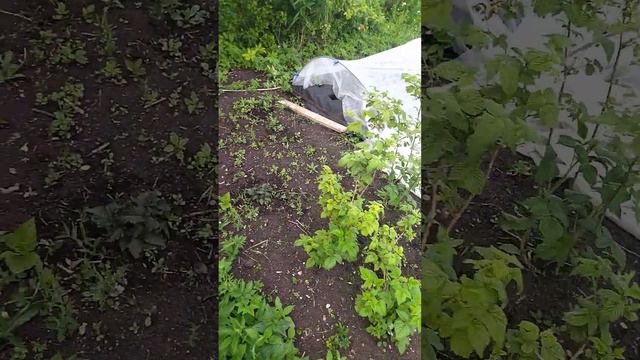 обзор новой дачи √2 смотреть онлайн