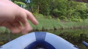 Ловля щуки на живца. Ловлю щуку на бутылку. Три поклевки подряд в одном месте, показываю в видео