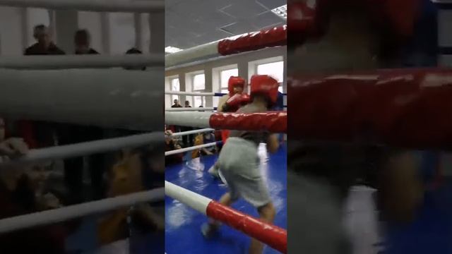 Кобрин соревнования по боксу для детей 8 лет и меньше . смотреть онлайн