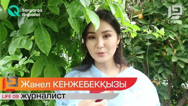 В Топарской теплице растут экзотические фрукты смотреть онлайн