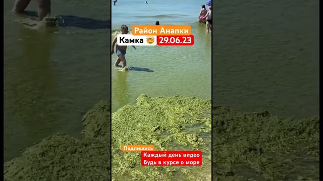 Камка Анапа #краснодарскийкрай #анапа #витязево #сочи #абхазия #море #сезон #краснодар смотреть онлайн