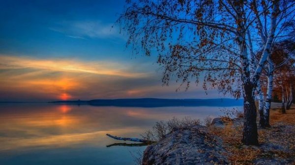 The Cats. Silent Breeze