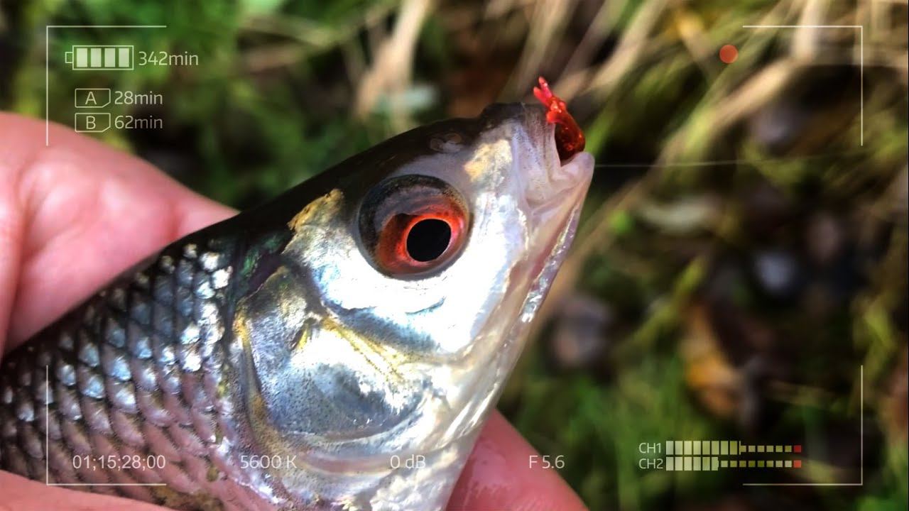 Мормышинг. Думай и поймаешь смотреть онлайн