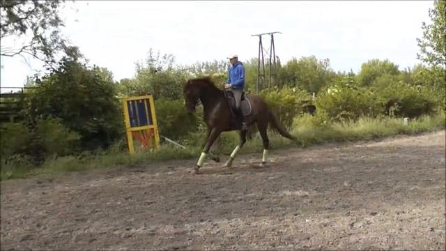 Denario S смотреть онлайн