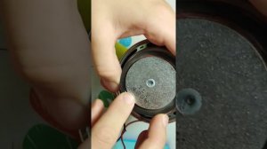 Как устроен динамик?