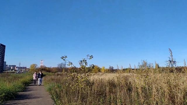 ЖК Скандинавия возле леса, Москва смотреть онлайн