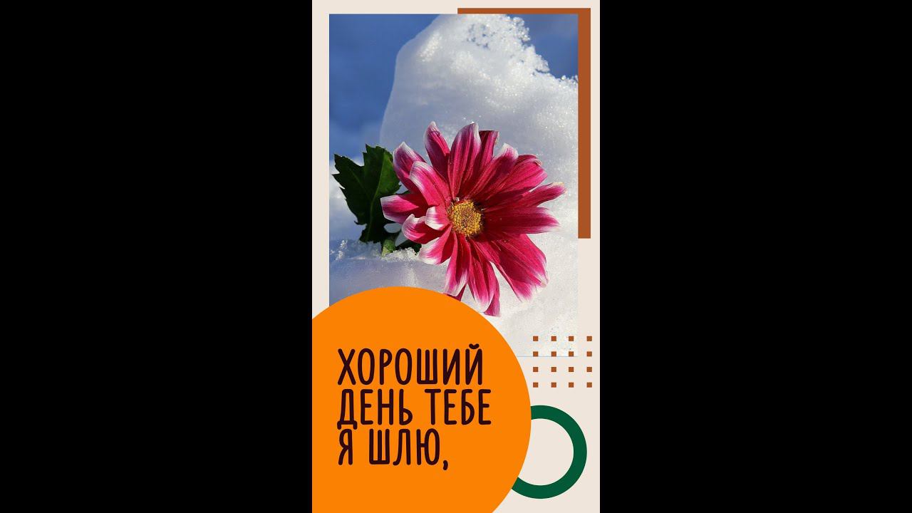 Хорошего дня и отличного настроения! Хороший день тебе я шлю смотреть онлайн