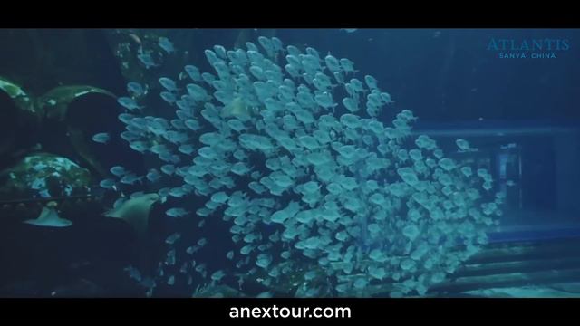 Atlantis Sanya China смотреть онлайн