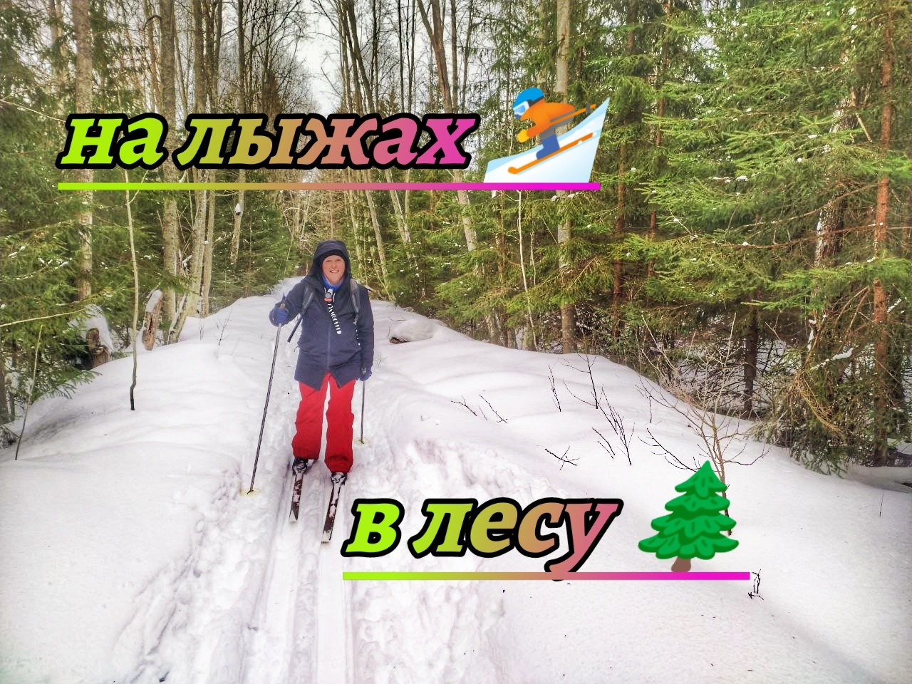 Гуляем на лыжах в Григоровском лесу. смотреть онлайн