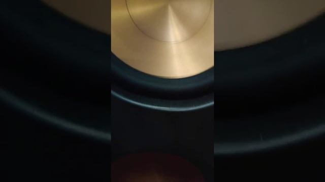 Клипш и пионер смотреть онлайн