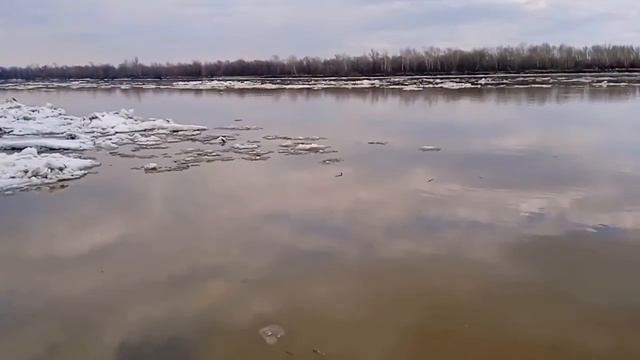 Алтай Ледоход 2023. Ледоход на реке. Ледоход на Оби. Ледоход Барнаул смотреть онлайн
