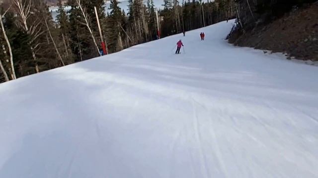 Gang on Groovy Goose 2018 смотреть онлайн