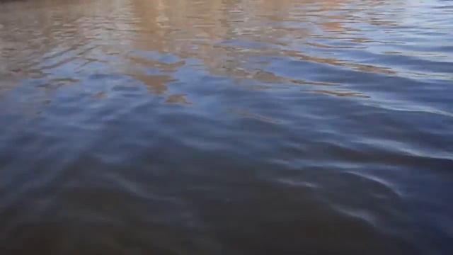 Ольшанка, старый пруд смотреть онлайн