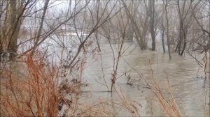 Половодье. ОБЖ 7 класс.