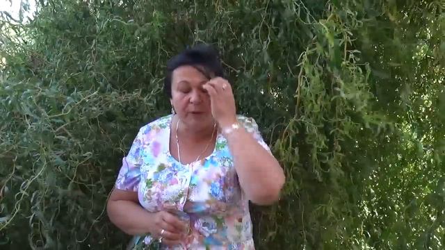 Светлана Шаманская о конфликте с фирмой "Пётр Великий". смотреть онлайн