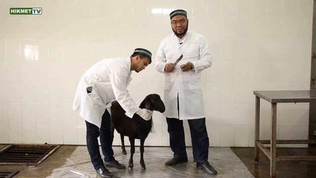 Құрбандық малын сою шарттары смотреть онлайн