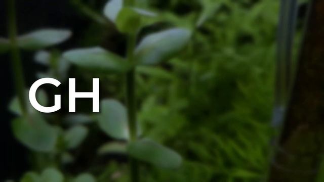 The Surprising Reason Your Aquarium Plants Aren't Growing ? смотреть онлайн