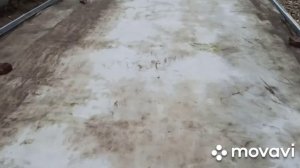 Постройка гаража ракушки (металлического) часть 1.