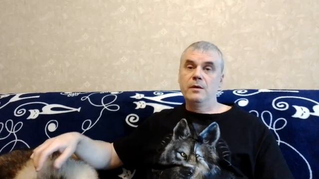 Как я нарушил обещание / Волонтерское счастье смотреть онлайн