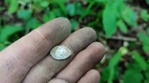 Коп-КЛАД ЧЕШУИ-Minelab VANQUISH 340!