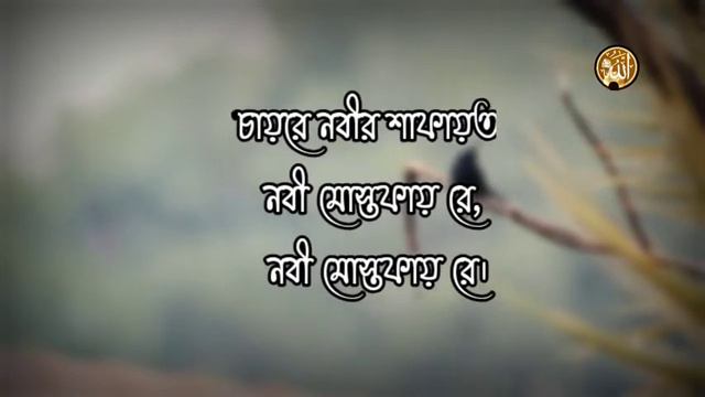 Bare Bare Vabi Eka Lyric। বারে বারে ভাবি একা লিরিক্স √ কোকিল কণ্ঠে হুজাইফার গজল _ смотреть онлайн
