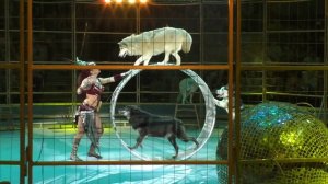 Видеорепортаж программы цирк Моретти