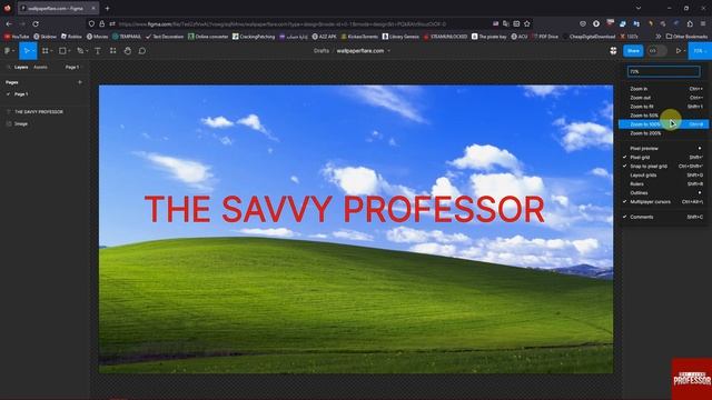 How to Zoom in Figma (Adjust Your Zoom and View Options) смотреть онлайн