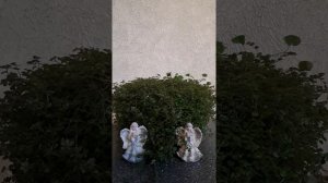 ОТВАДИТЬ нежеланного ГОСТЯ