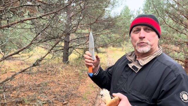 ГРИБНИКИ В ТАЙГЕ НАШЛИ БОРОВИКИ и РЫЖИКИ ! ТИХАЯ ОХОТА ПРОДОЛЖАЕТСЯ ! смотреть онлайн