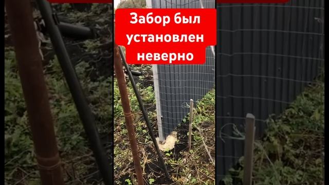 Забор между соседями был установлен неверно, но собственники нашли общий язык смотреть онлайн