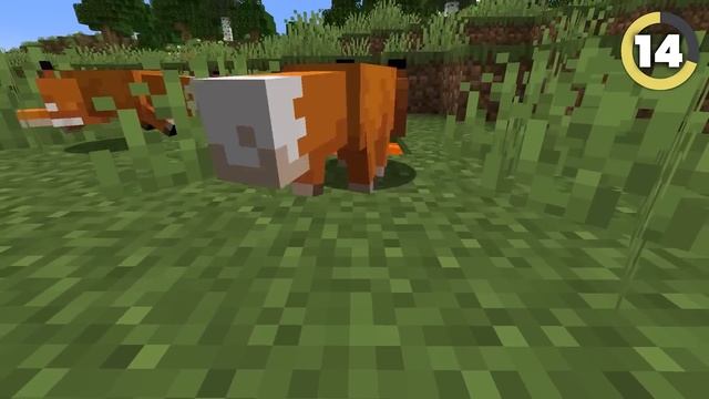 30 RÓŻNIC między Minecraft JAVA vs BEDROCK смотреть онлайн