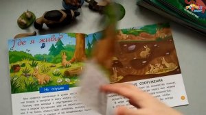 Коллекция DeAGOSTINI "Животные леса" #4