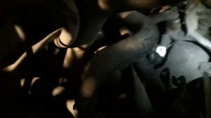 Где находится датчик скорости на Авео т250.