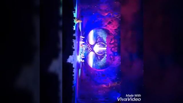 Как я сходила на Кремлёвскую ёлку 😆💎👍🏻|Поля cat🐈 смотреть онлайн