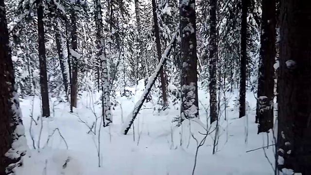 так чьи это капканы? смотреть онлайн