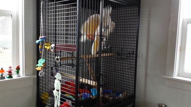 The great escape artist Max смотреть онлайн