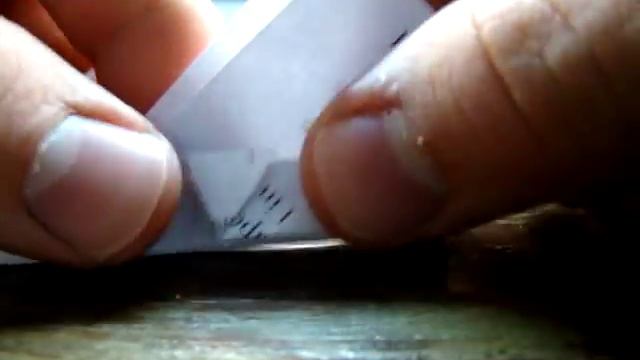 Collecting Sundew Seeds and Making Seed Packets (no tape needed) смотреть онлайн