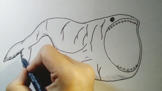 How to Draw the Biggest Fish Bloop смотреть онлайн