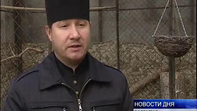 В СВЯТО-ДУХОВОМ МОНАСТЫРЕ ПОСЕЛИЛСЯ СЕРЫЙ ЖУРАВЛЬ смотреть онлайн