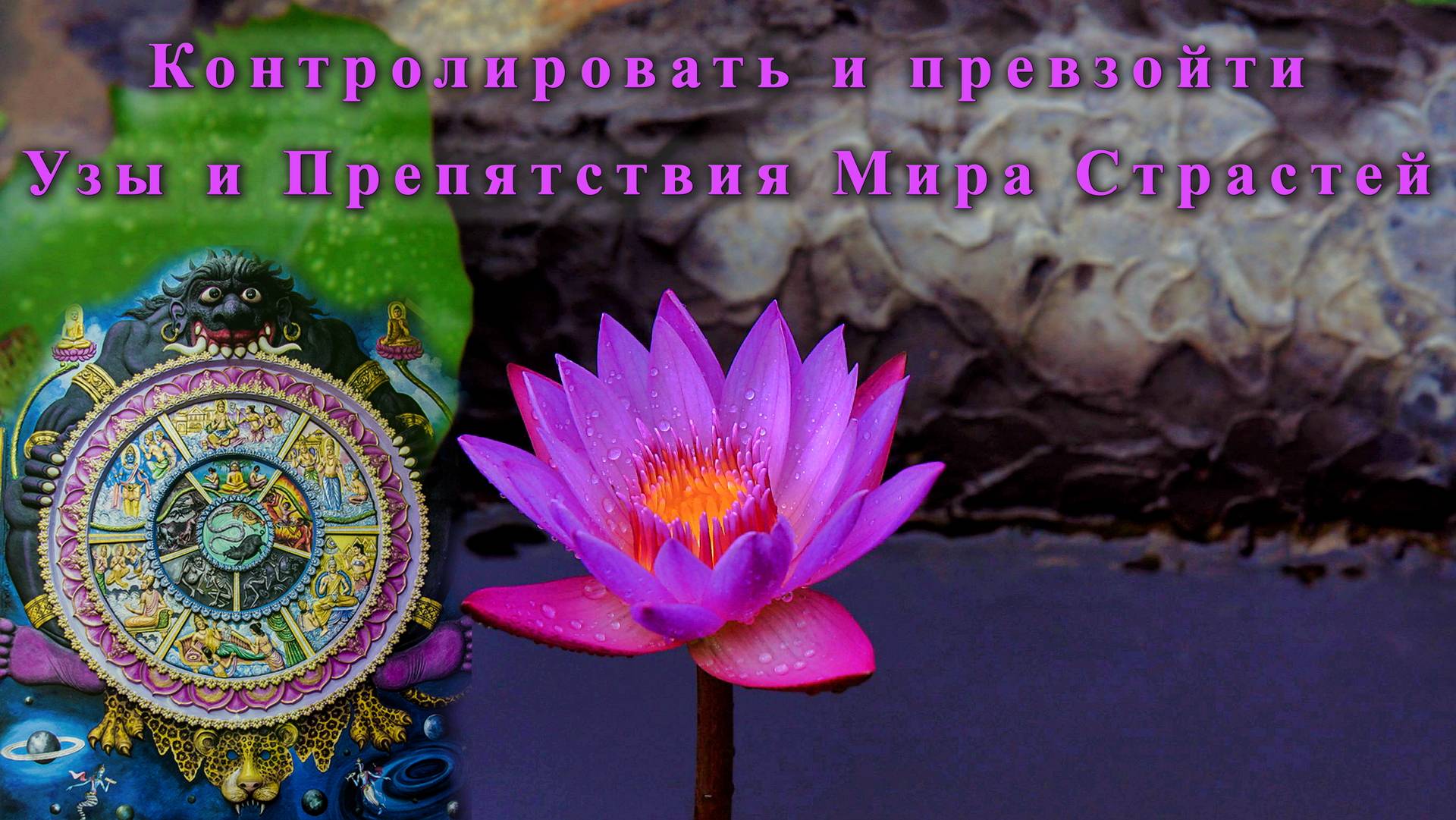 Контролировать и превзойти Узы и Препятствия Мира Страстей смотреть онлайн