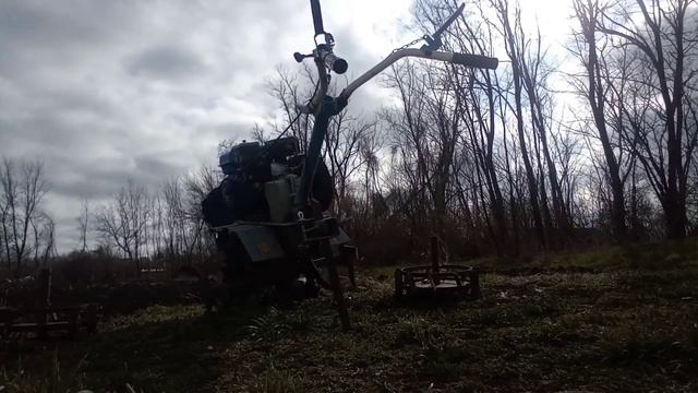 Посеяли люцерну / Посадили лук смотреть онлайн